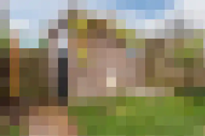 Mesdaglaan 13 Arnhem thumbnail 65
