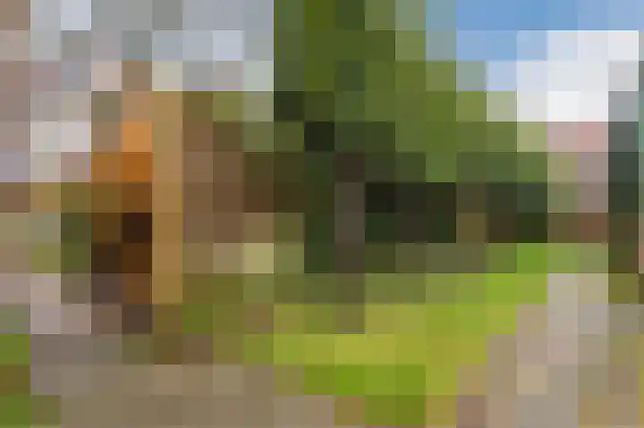 Mesdaglaan 13 Arnhem thumbnail 66