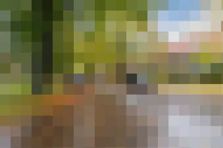 Mesdaglaan 13 Arnhem thumbnail 67