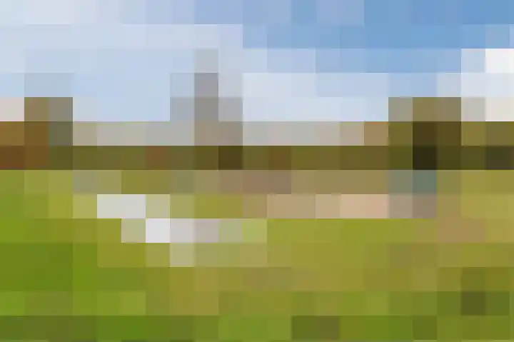 Mesdaglaan 13 Arnhem thumbnail 68