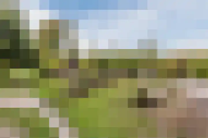 Mesdaglaan 13 Arnhem thumbnail 69