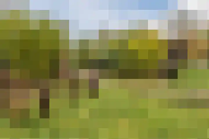 Mesdaglaan 13 Arnhem thumbnail 70