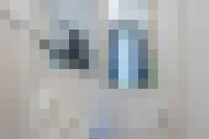 Mesdaglaan 13 Arnhem thumbnail 9