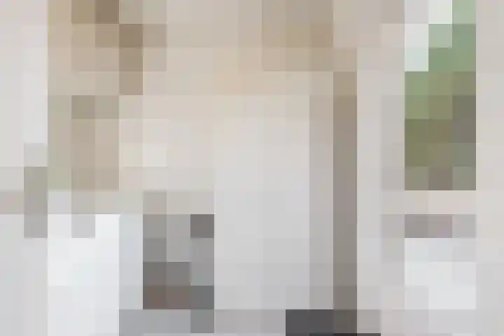 Mesdaglaan 13 Vleuten thumbnail 14
