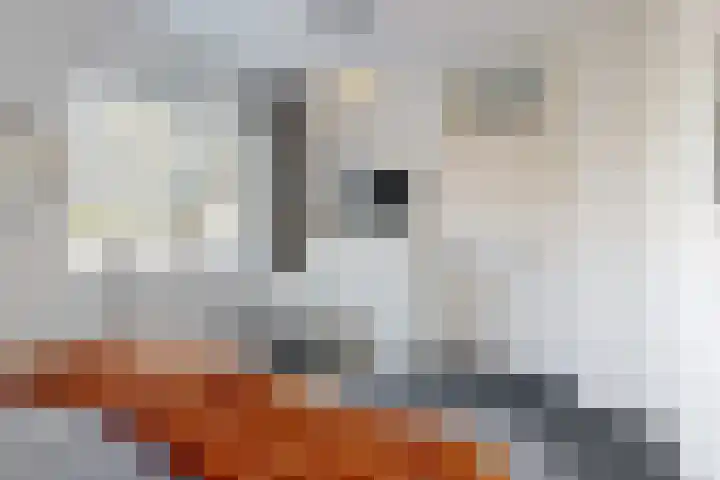 Mesdaglaan 13 Vleuten thumbnail 19