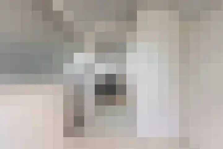 Mesdaglaan 13 Vleuten thumbnail 24