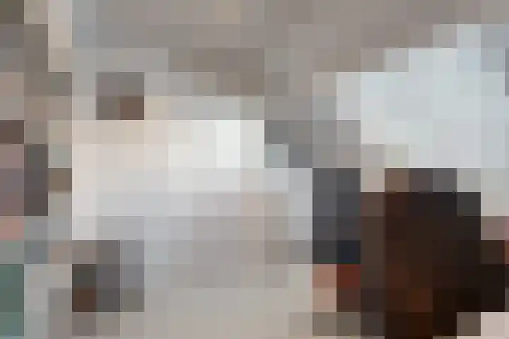 Mesdaglaan 13 Vleuten thumbnail 25