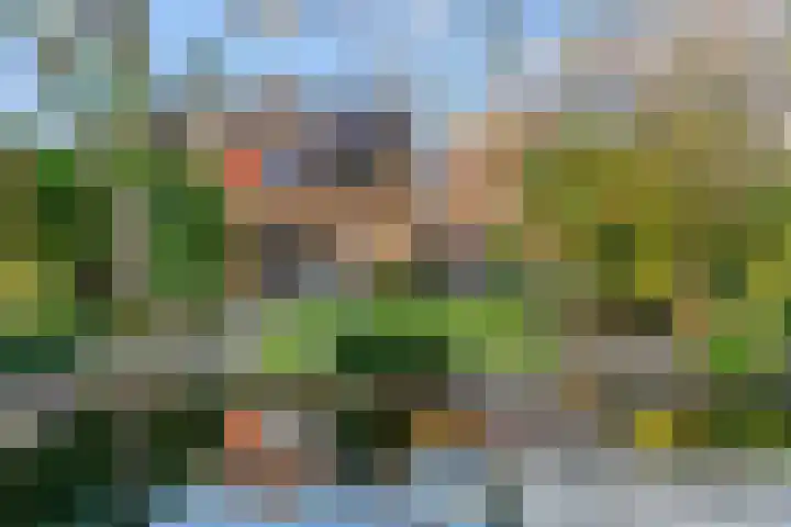 Mesdaglaan 13 Vleuten thumbnail 26