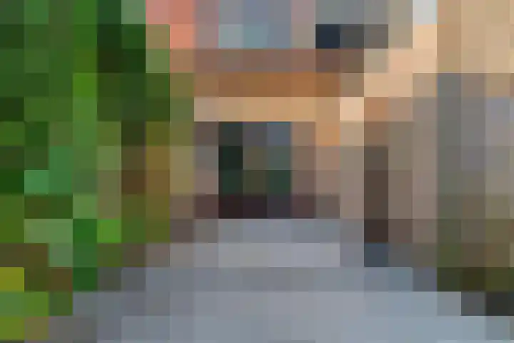 Mesdaglaan 13 Vleuten thumbnail 27
