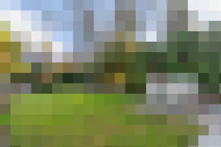 Mesdaglaan 13 Vleuten thumbnail 28