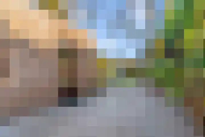 Mesdaglaan 13 Vleuten thumbnail 29