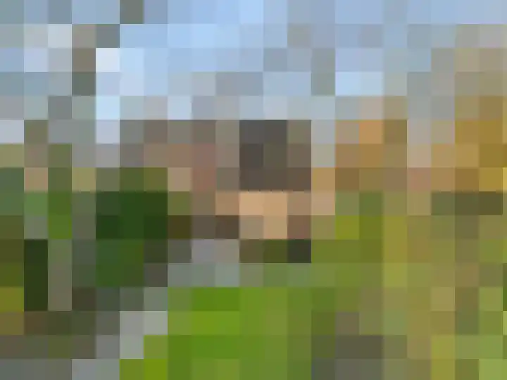 Mesdaglaan 13 Vleuten thumbnail 30