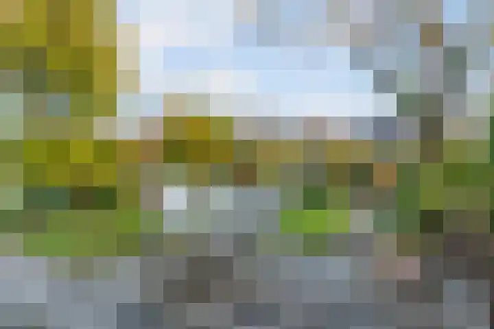 Mesdaglaan 13 Vleuten thumbnail 31