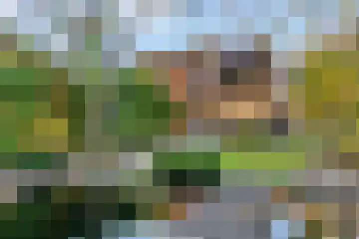 Mesdaglaan 13 Vleuten thumbnail 32