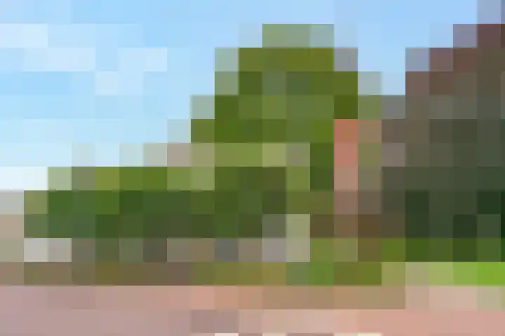 Mesdaglaan 13 Vleuten thumbnail 36
