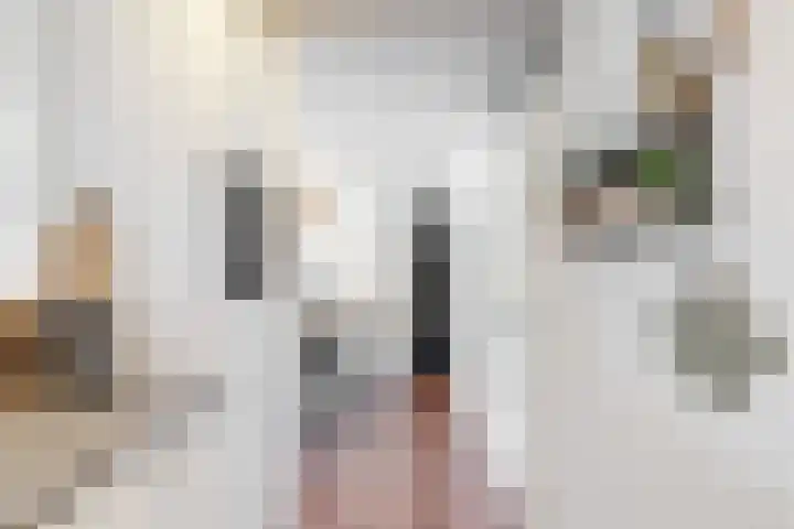 Mesdaglaan 135 Maassluis thumbnail 19