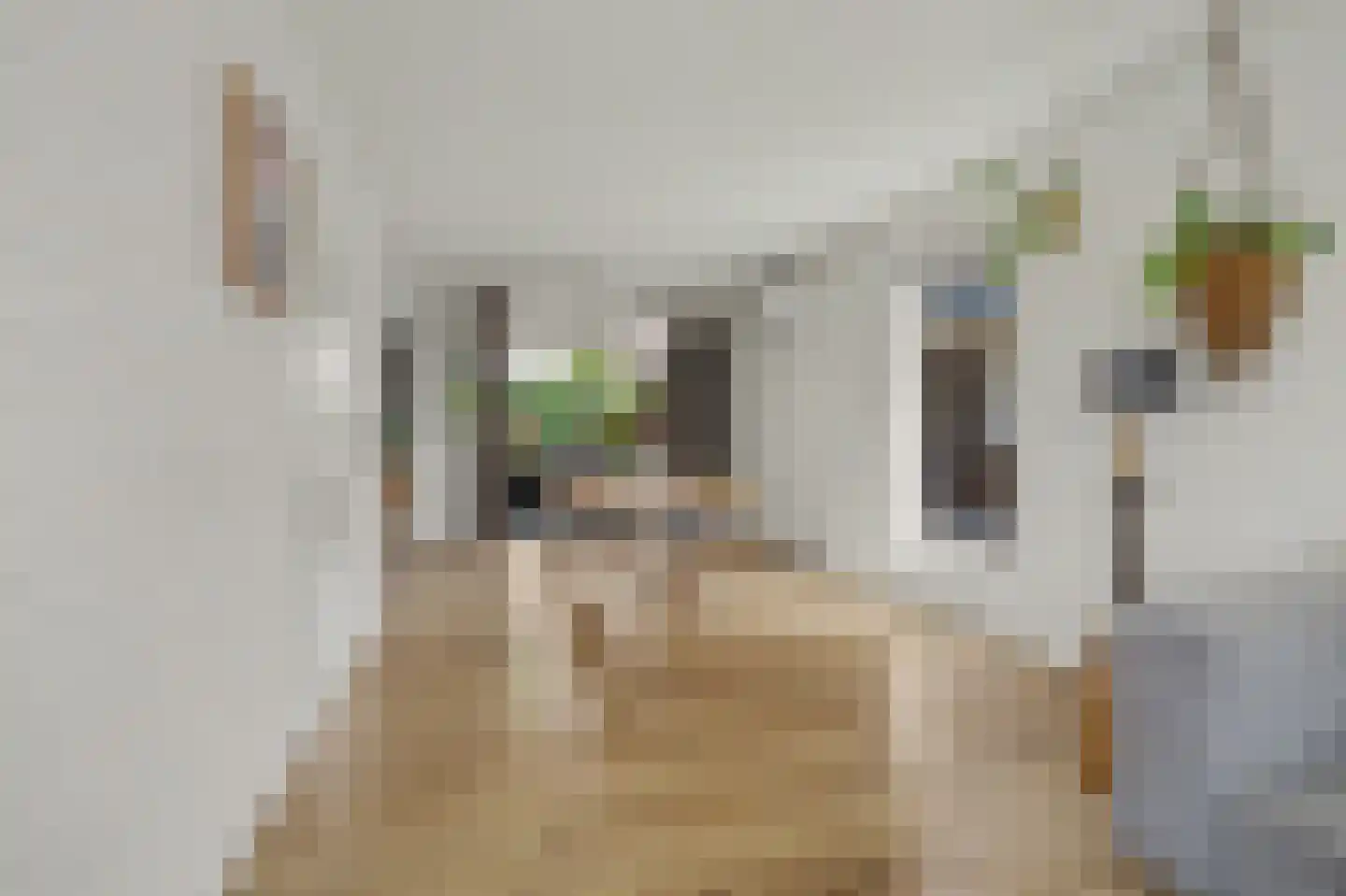 Mesdaglaan 14 Sprang-Capelle thumbnail 10