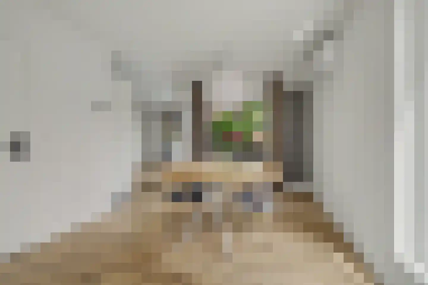 Mesdaglaan 14 Sprang-Capelle thumbnail 11