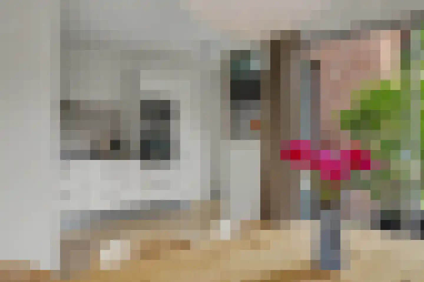 Mesdaglaan 14 Sprang-Capelle thumbnail 13
