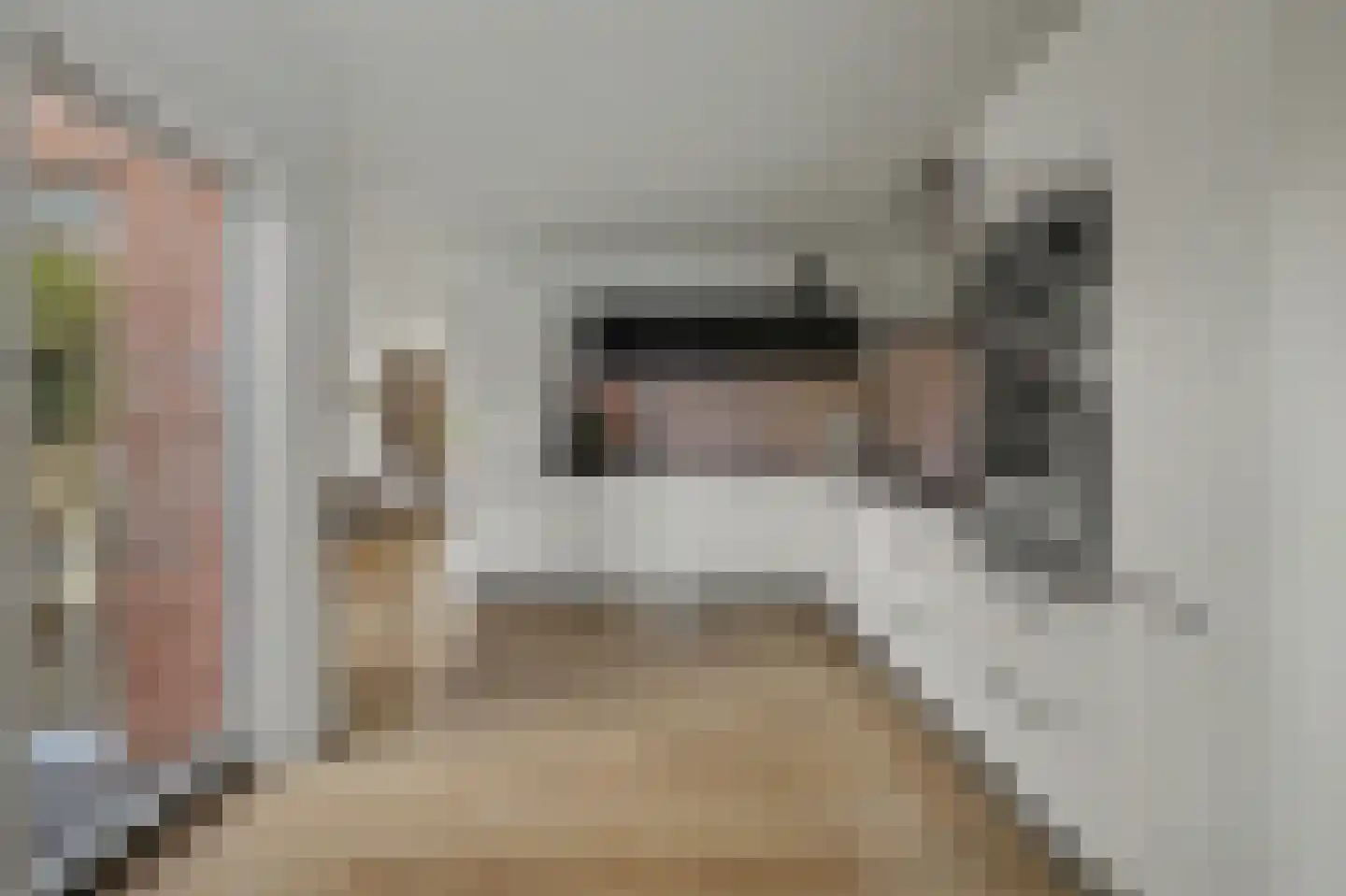 Mesdaglaan 14 Sprang-Capelle thumbnail 15