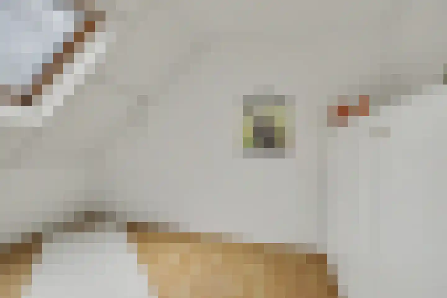 Mesdaglaan 14 Sprang-Capelle thumbnail 25