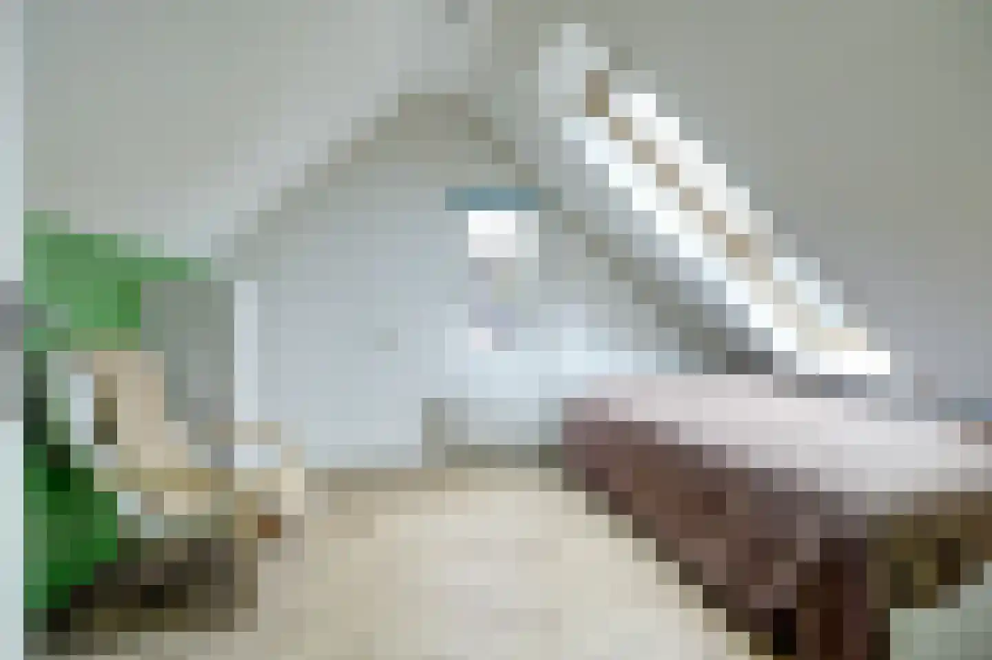 Mesdaglaan 14 Sprang-Capelle thumbnail 30