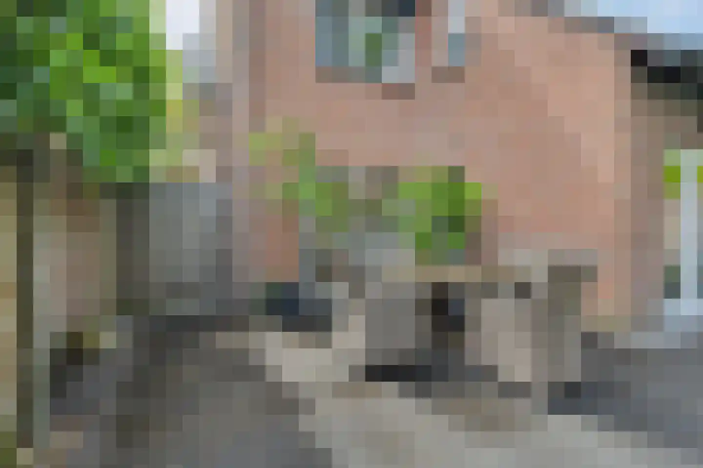 Mesdaglaan 14 Sprang-Capelle thumbnail 34