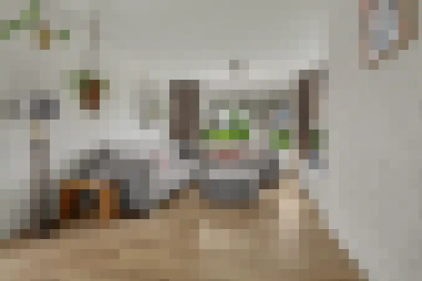 Mesdaglaan 14 Sprang-Capelle thumbnail 8