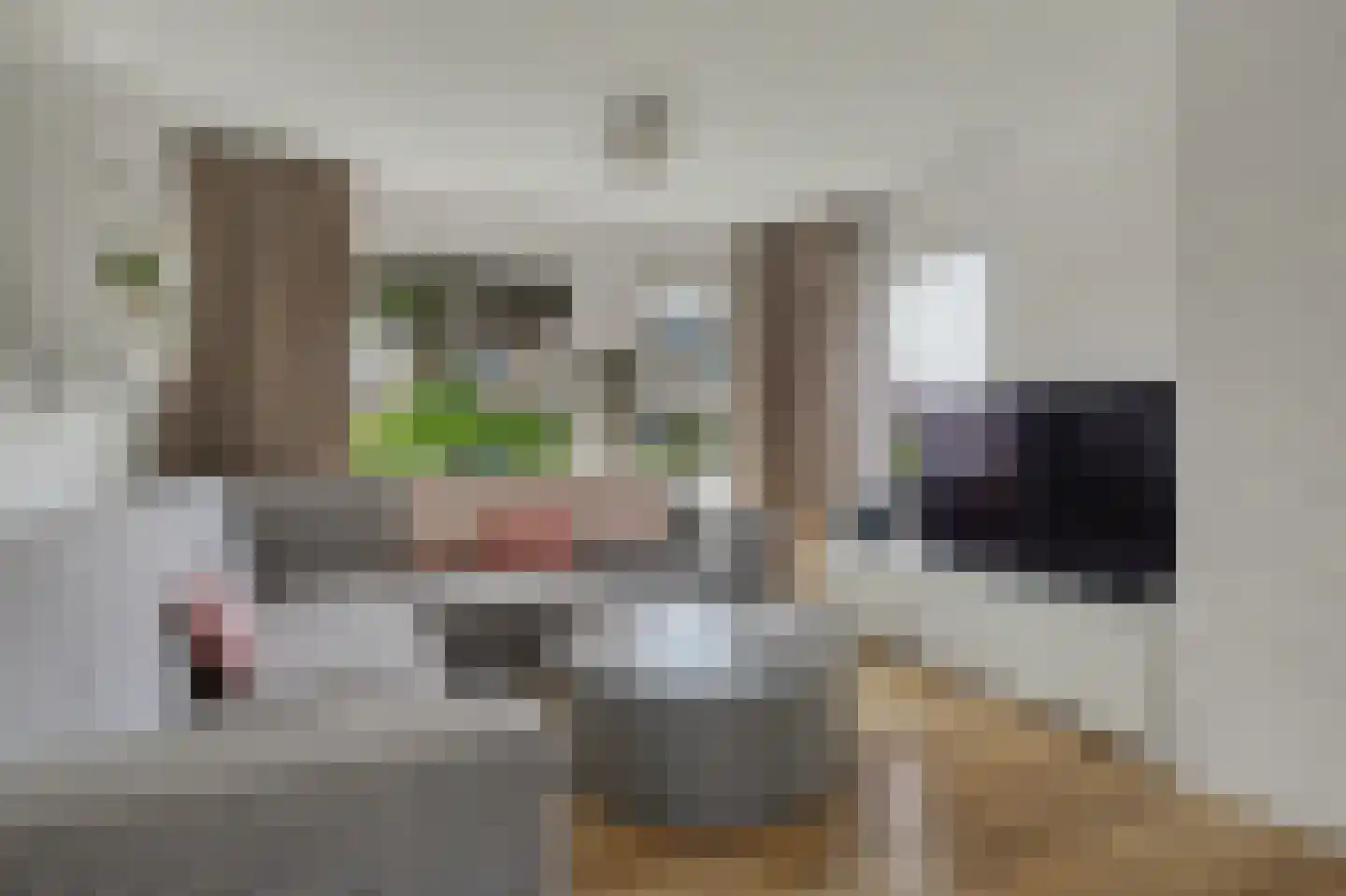 Mesdaglaan 14 Sprang-Capelle thumbnail 9