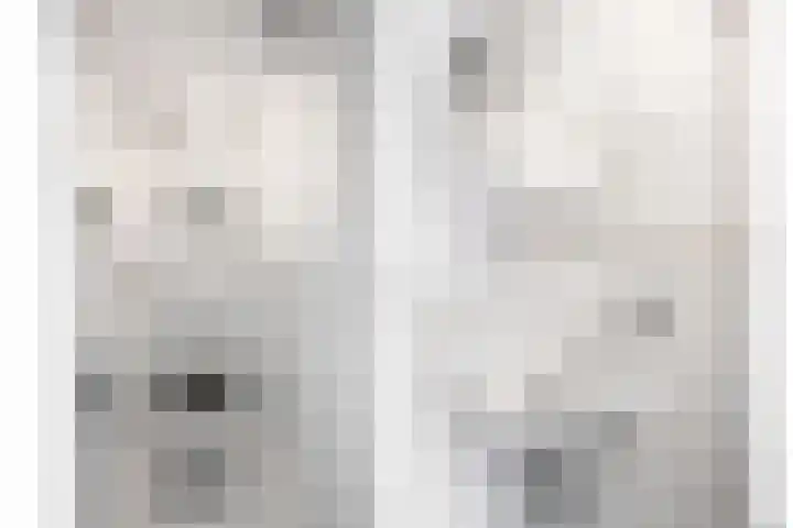 Mesdaglaan 209 Maassluis thumbnail 11