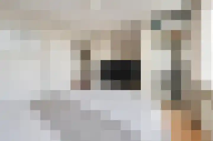 Mesdaglaan 209 Maassluis thumbnail 15