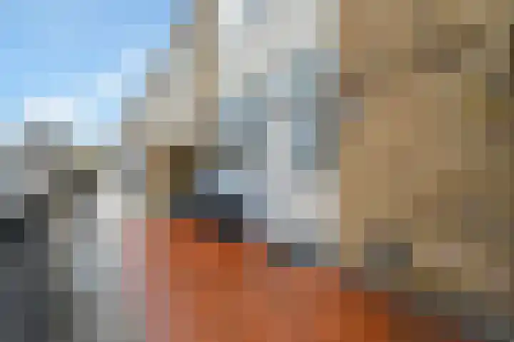 Mesdaglaan 209 Maassluis thumbnail 30