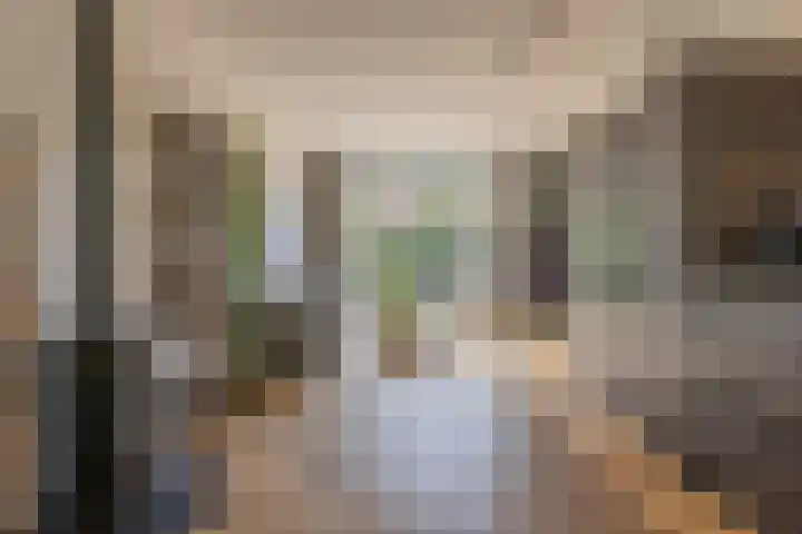 Mesdaglaan 25 Arnhem thumbnail 14