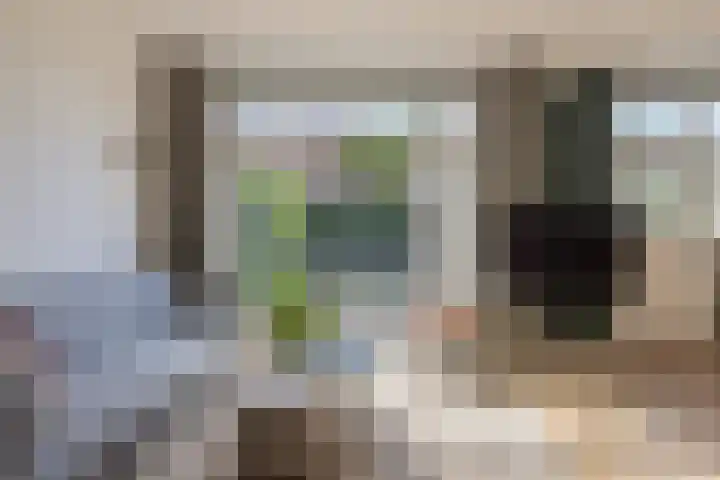 Mesdaglaan 25 Arnhem thumbnail 15