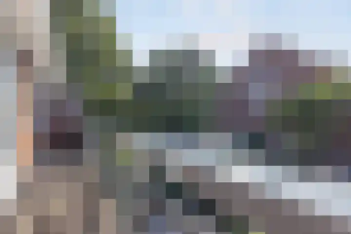 Mesdaglaan 25 Arnhem thumbnail 24