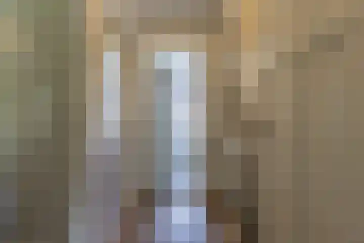 Mesdaglaan 25 Arnhem thumbnail 31