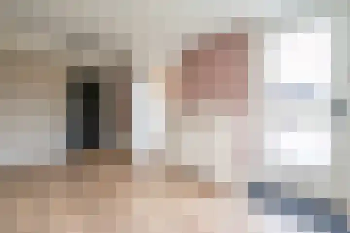 Mesdaglaan 25 Arnhem thumbnail 32