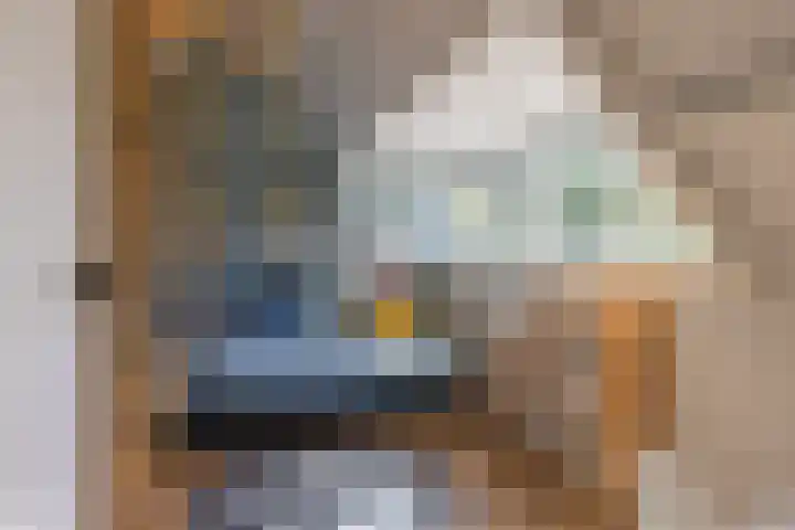 Mesdaglaan 25 Arnhem thumbnail 32