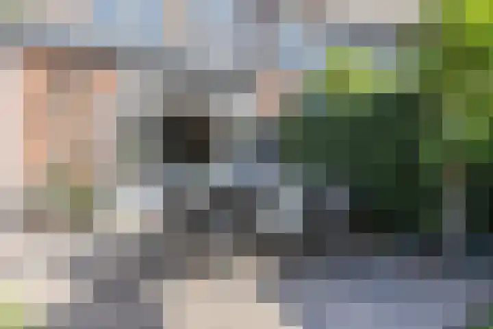 Mesdaglaan 25 Arnhem thumbnail 34
