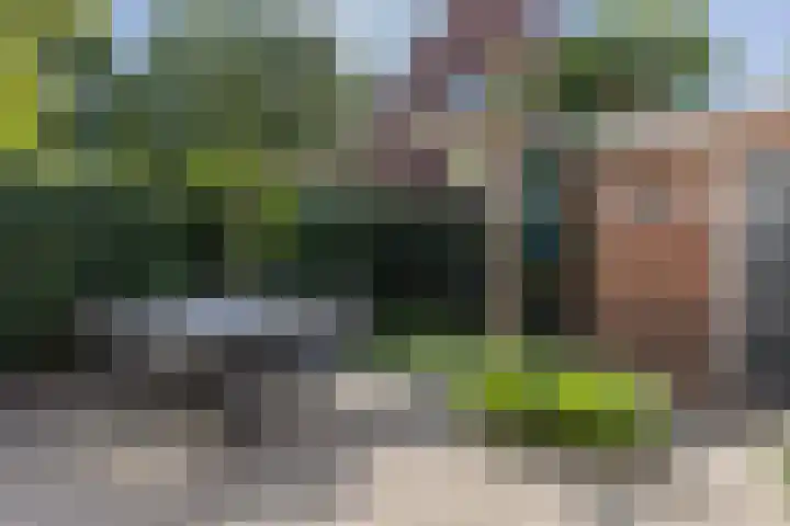 Mesdaglaan 25 Arnhem thumbnail 35