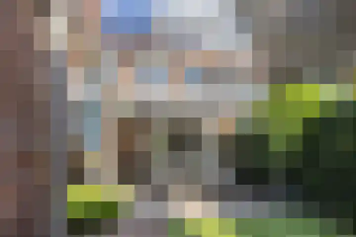 Mesdaglaan 25 Arnhem thumbnail 36