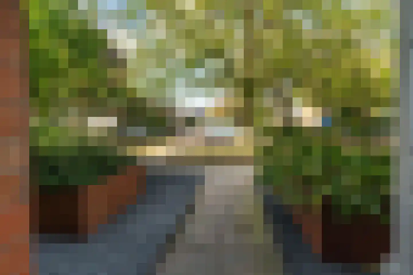 Mesdaglaan 29 Sprang-Capelle thumbnail 27