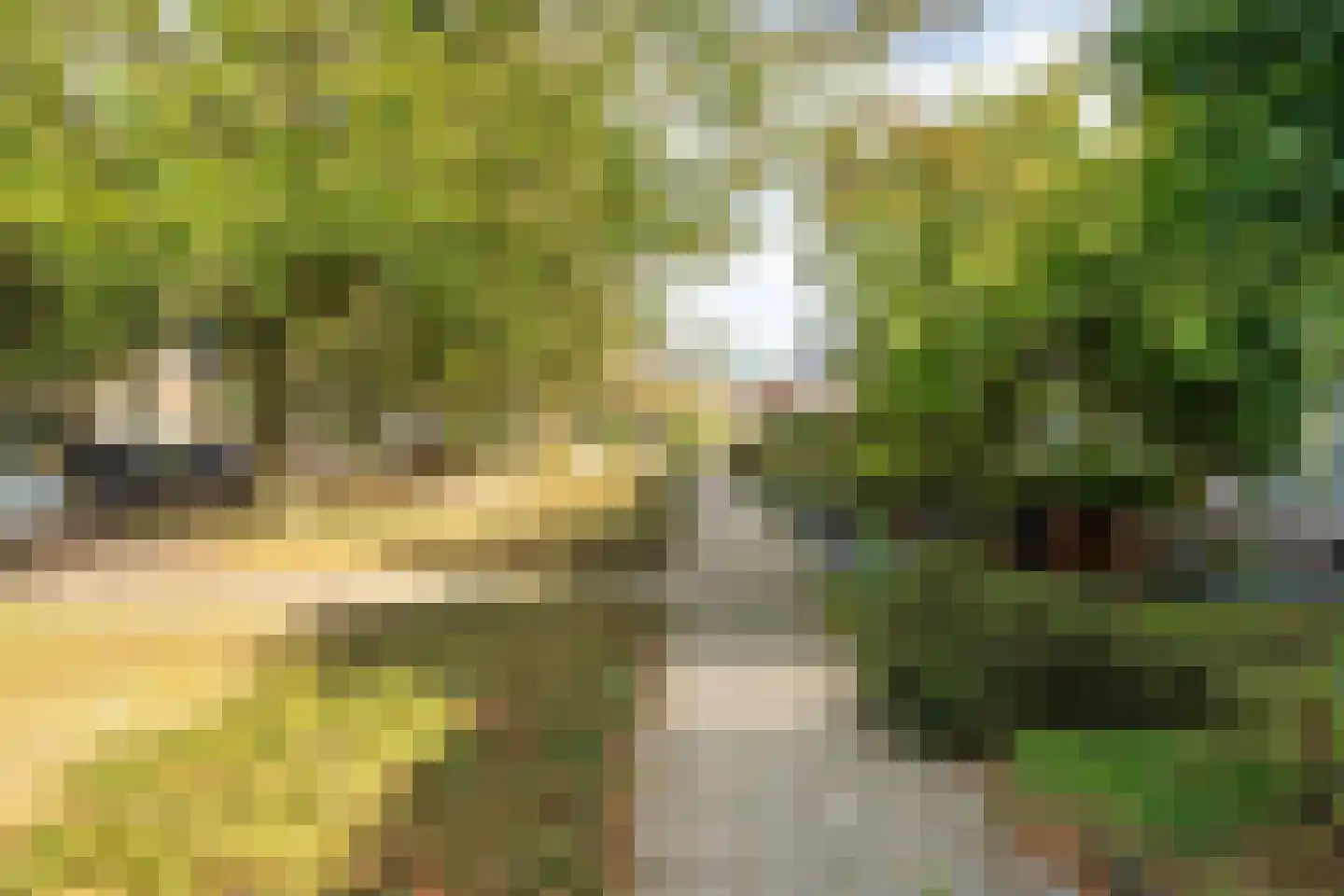 Mesdaglaan 29 Sprang-Capelle thumbnail 28