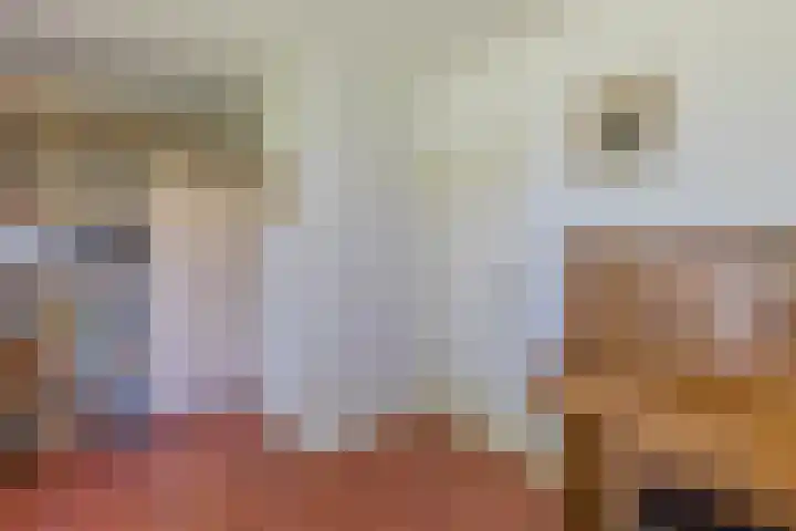 Mesdaglaan 3 Heeze thumbnail 16
