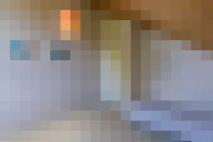 Mesdaglaan 3 Heeze thumbnail 21