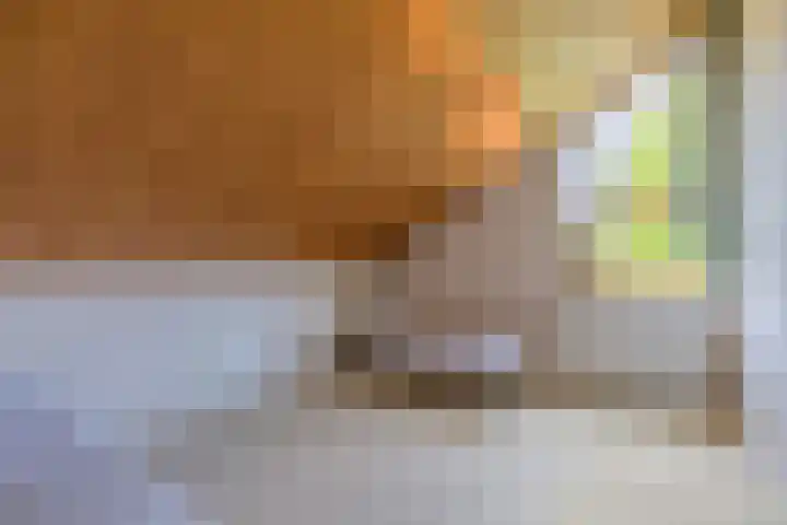 Mesdaglaan 3 Heeze thumbnail 22