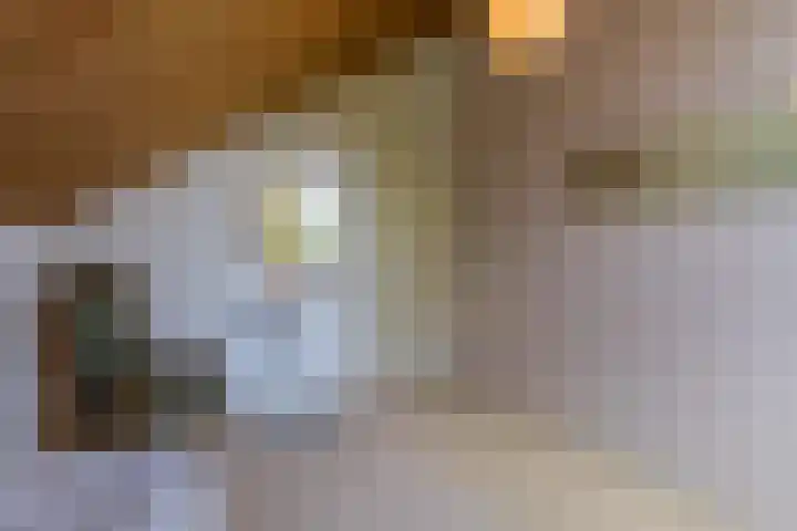 Mesdaglaan 3 Heeze thumbnail 23