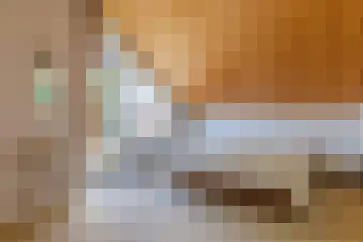 Mesdaglaan 3 Heeze thumbnail 24