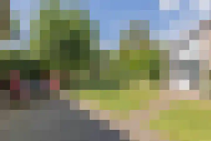 Mesdaglaan 3 Heeze thumbnail 27