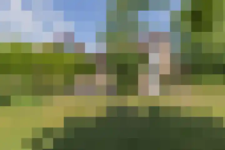 Mesdaglaan 3 Heeze thumbnail 30